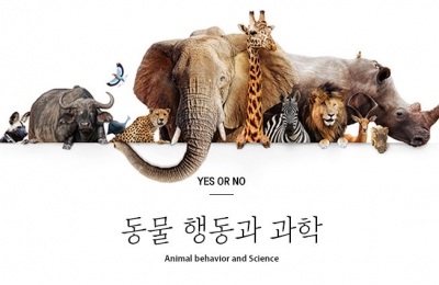 2018 가을호 / YES OR NO / 동물 행동과 과학