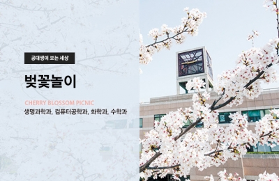 공대생이 본 벚꽃놀이