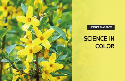 Science in Color