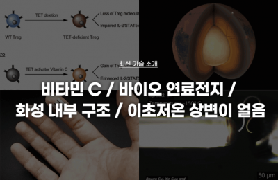 최신 기술 소개(비타민 C, 바이오 연료전지, 화성내부 구조, 이초저온 상변이 얼음)  