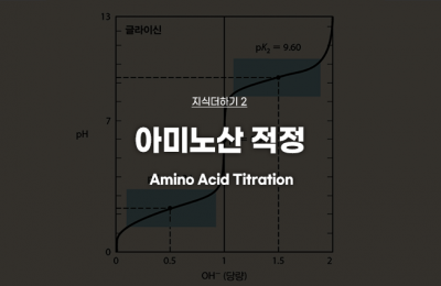 지식더하기 ② 아미노산 적정