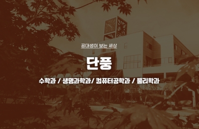 공대생이 본 단풍