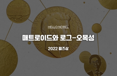 매트로이드와 로그-오목성