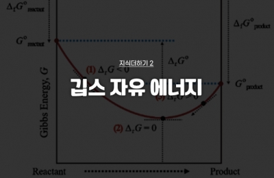 지식더하기 ② 깁스 자유 에너지