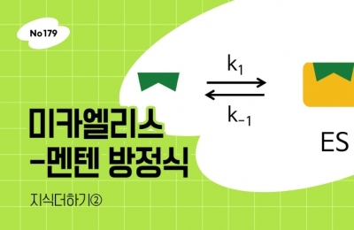 지식더하기 ② 미카엘리스-멘텐 방정식