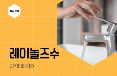 지식더하기 ① 레이놀즈수