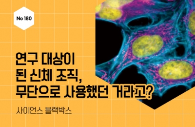 연구 대상이 된 신체 조직, 무단으로 사용했던 거라고?