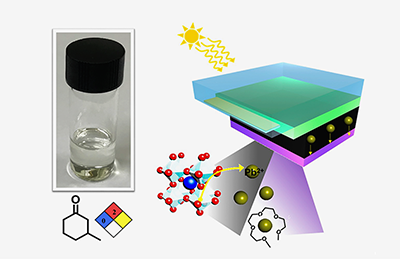 Perovskite Solar Cells Made of Peppermint Oil and Walnut Aroma Food Additives, Preventing Lead Leakage 관련 이미지