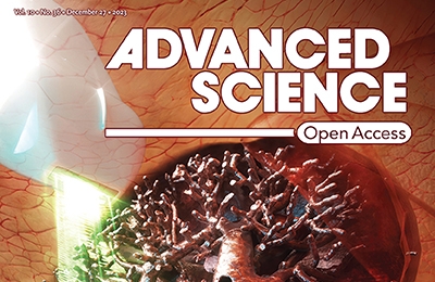 Pushing the Boundaries of Ultrasound Imaging: Breaking New Ground with Ultrafast Technology 관련 이미지