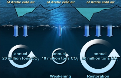 Arctic Cold Snap Transforms into a Blessing 관련 이미지
