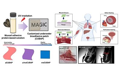 Personalized Adhesives for Inner Healing – Now Tailored Just for You 관련 이미지