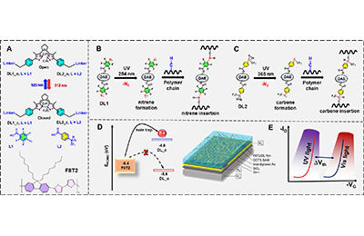 Photocrosslinking, not Ojak Bridge, Facilitates Transistor Functionality 관련 이미지
